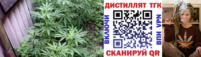 цена наркотик Копейск ТГК THC oil