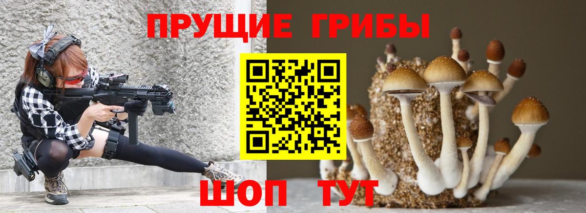 Копейск  Псилоцибиновые грибы мицелий  Галлюциногенные грибы прущие грибы  Вход с VPN 